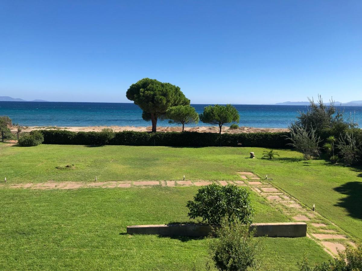 Beachfront Villa Hoopoe Schinias, Marathon Bagian luar foto