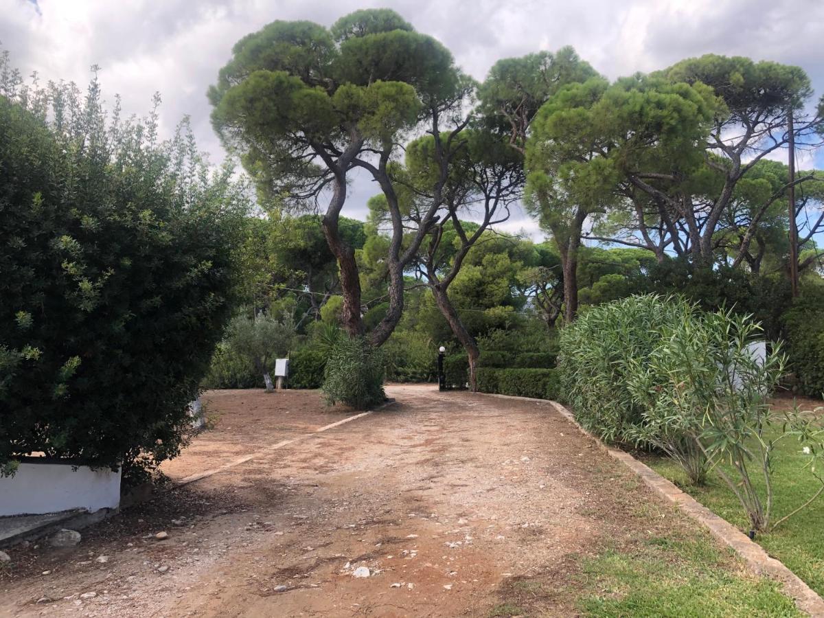 Beachfront Villa Hoopoe Schinias, Marathon Bagian luar foto