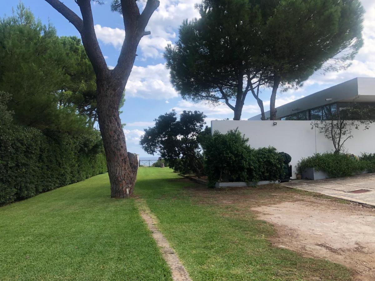 Beachfront Villa Hoopoe Schinias, Marathon Bagian luar foto