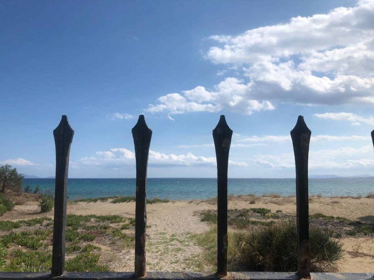 Beachfront Villa Hoopoe Schinias, Marathon Bagian luar foto