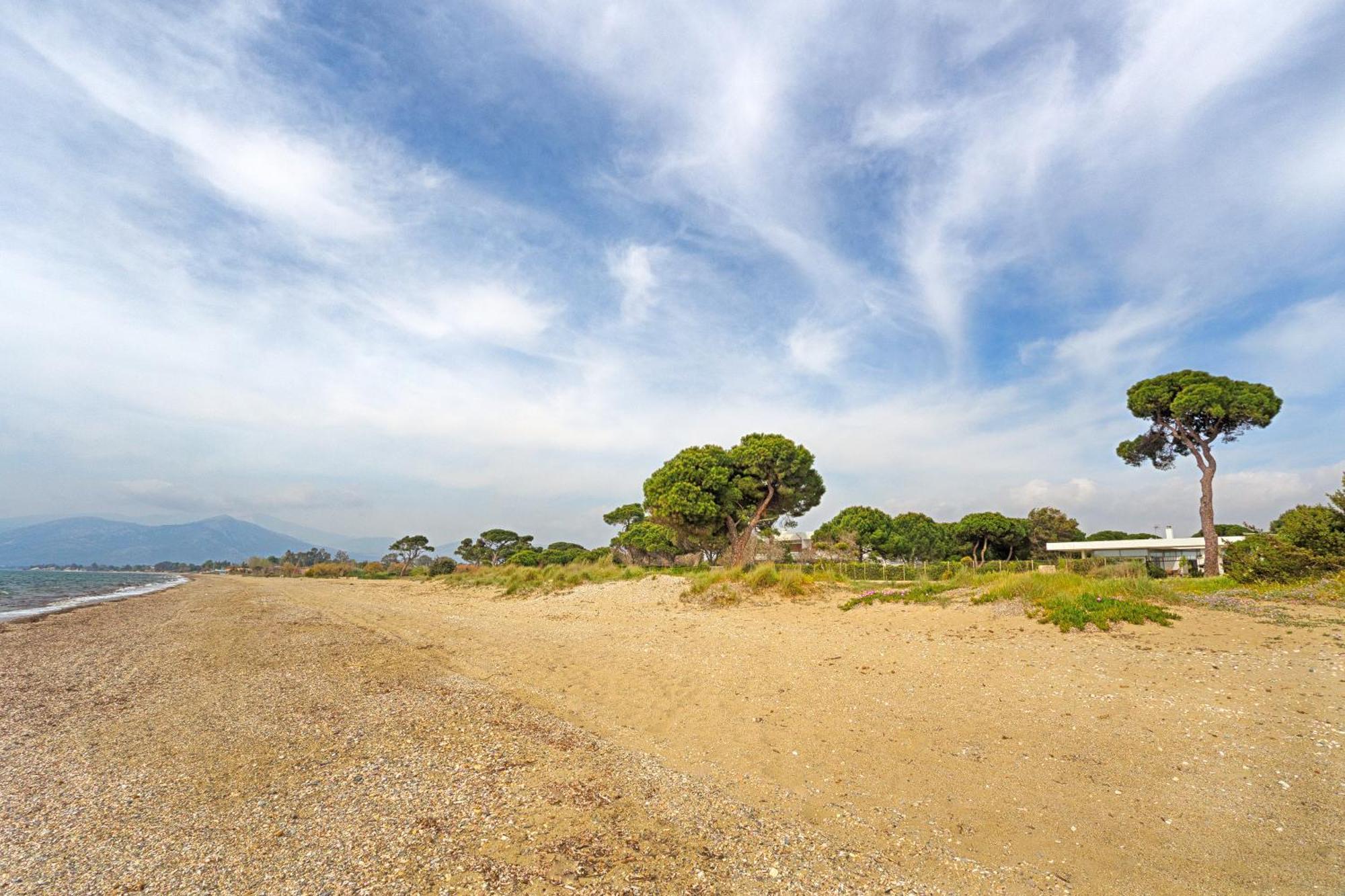 Beachfront Villa Hoopoe Schinias, Marathon Bagian luar foto